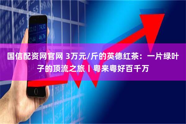 国信配资网官网 3万元/斤的英德红茶：一片绿叶子的顶流之旅丨粤来粤好百千万