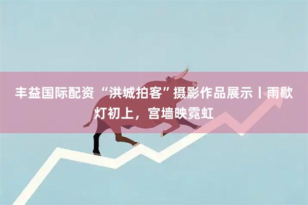 丰益国际配资 “洪城拍客”摄影作品展示丨雨歇灯初上，宫墙映霓虹
