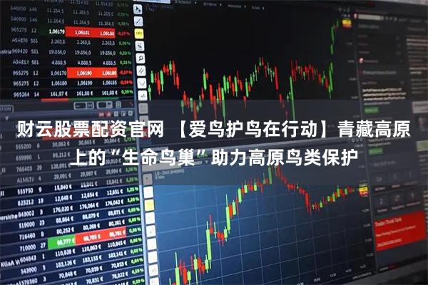 财云股票配资官网 【爱鸟护鸟在行动】青藏高原上的“生命鸟巢”助力高原鸟类保护